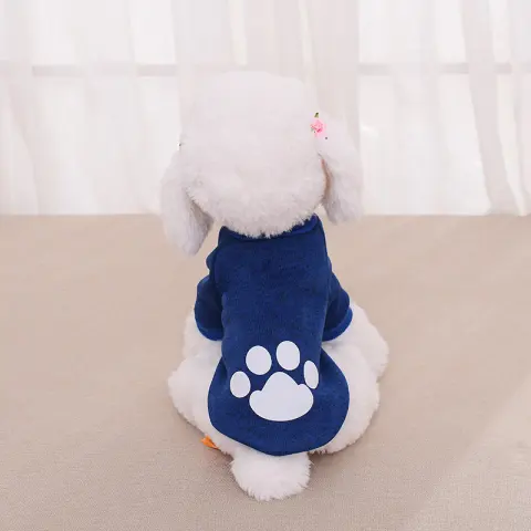 Clothing Pet Two-legged Sweater Teddy