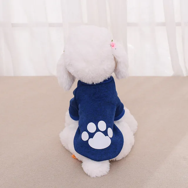 Clothing Pet Clothing Two legged Sweater Teddy Royal Blue - Shop at LoveMi