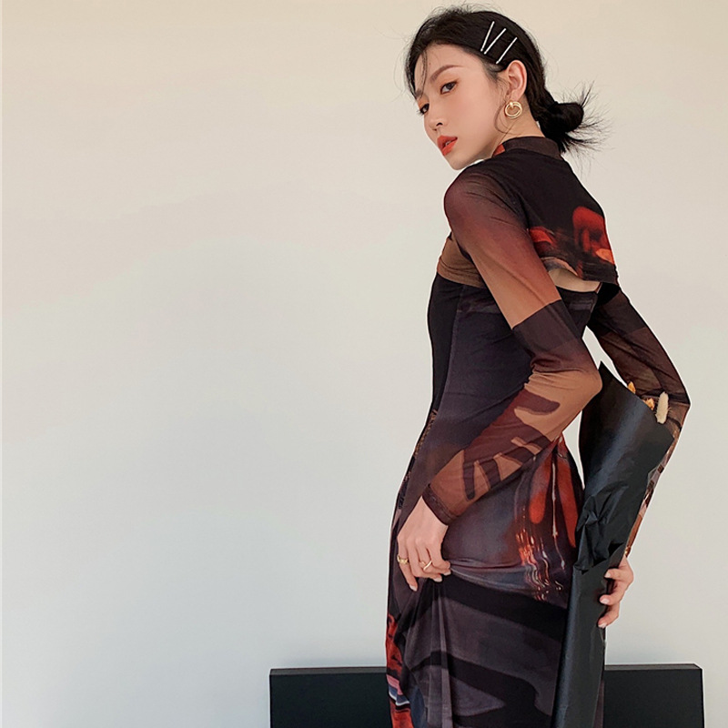 Two-Piece Mesh Long-Sleeved Slim Retro Print Dress