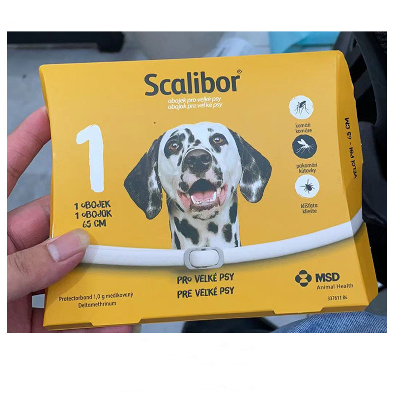 Grey scalibor big dog