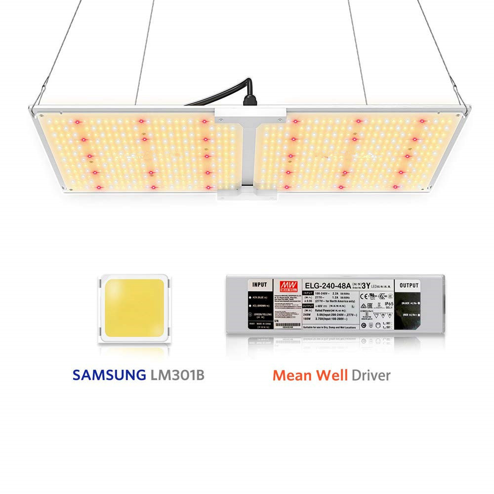 LZF2000W