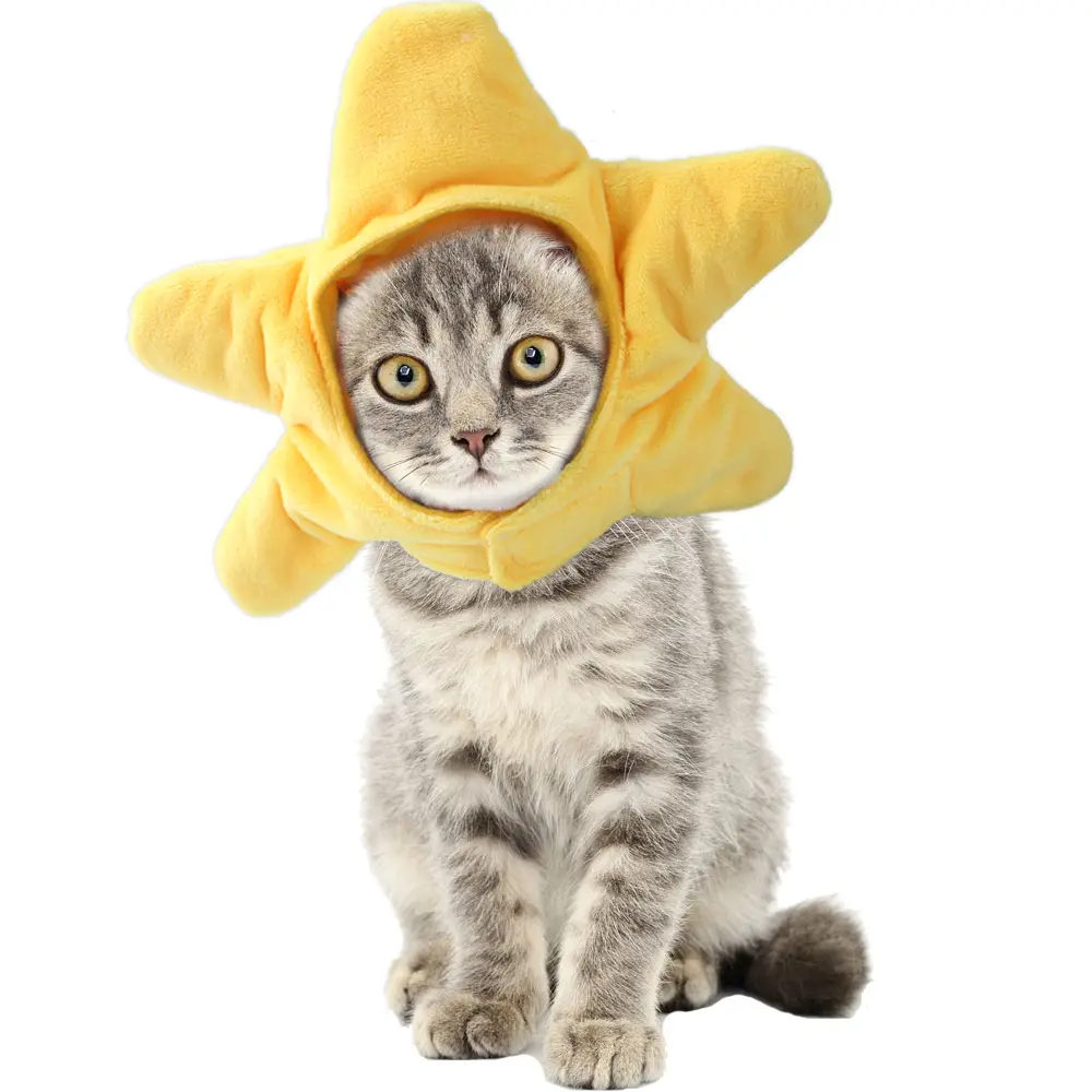 Teddy Dress Up Flower Headgear Cat Pet