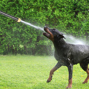 Wash Pets - jet spray tip