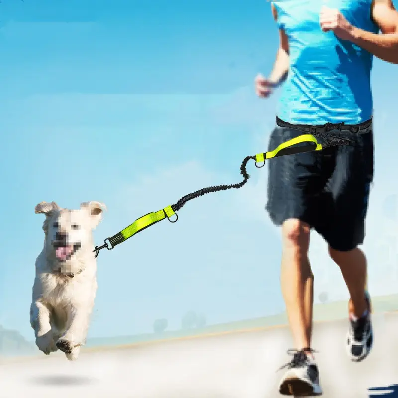 Multifunctional Running Reflective Double Telescopic Dog Leash Dog Chain