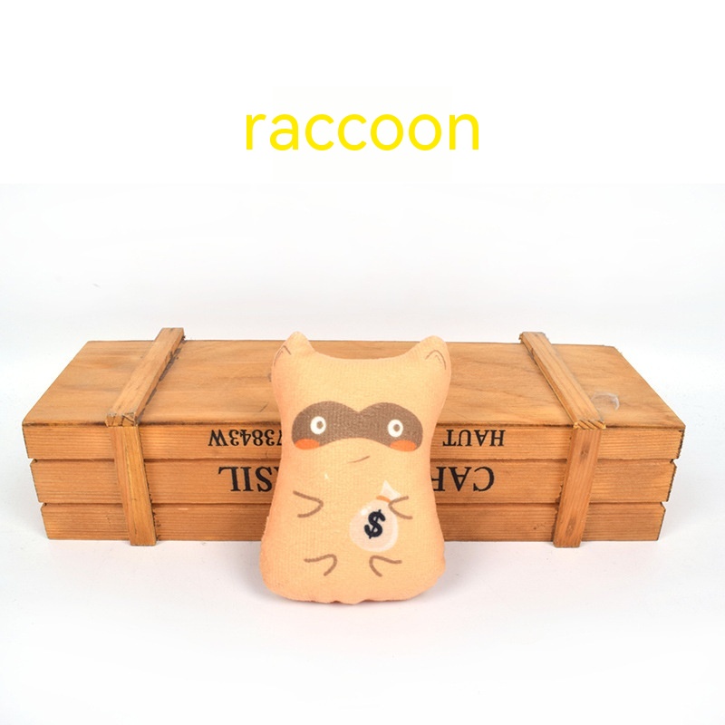 Raccoon