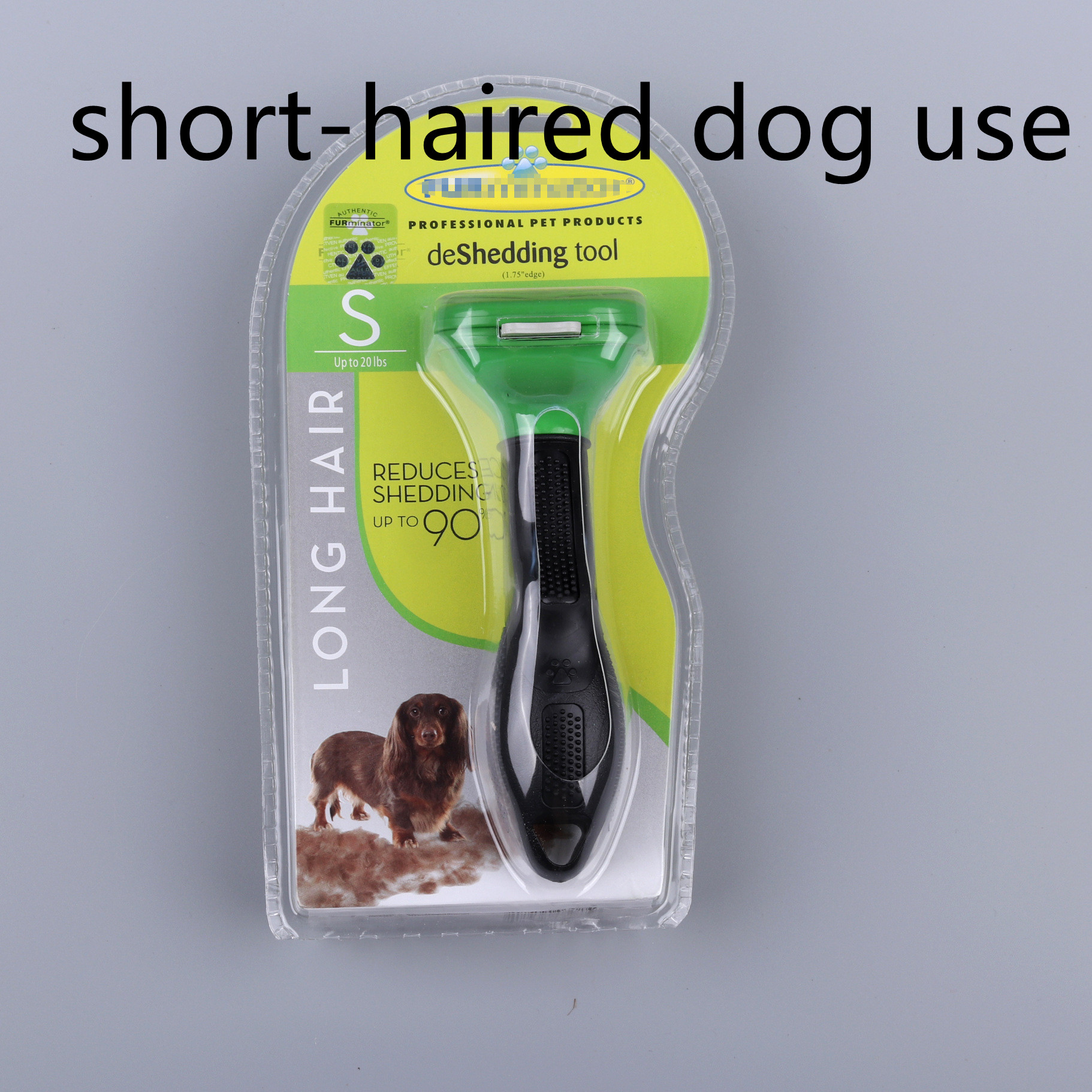 Shorthaired dog use green