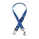 Blue Elasticity