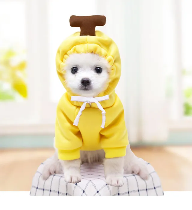 Puppy Dog Teddy Cat Plus Fleece Hooded Sweater Pet Supplies White Carrot Banana Sweater - Shop at LoveMi