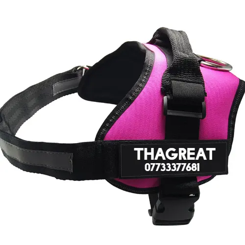 Strong Nylon Reflective Strip Pet Traction Chest