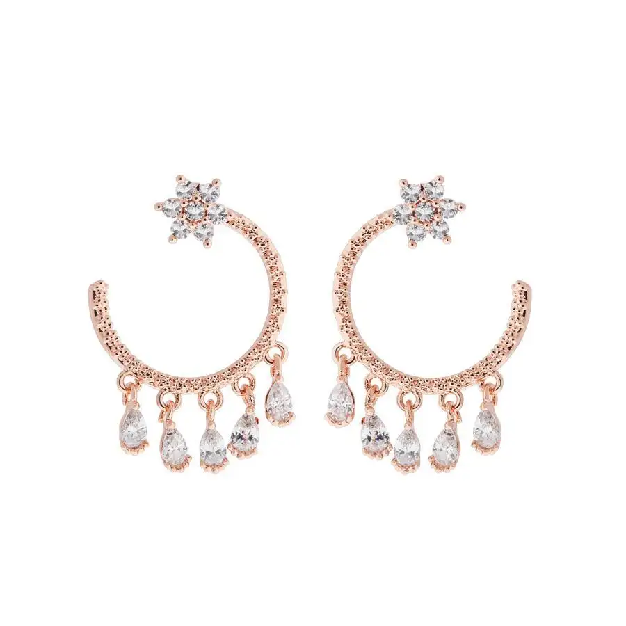 Micro Inlaid Zircon Silver Needle C- Shaped Earrings