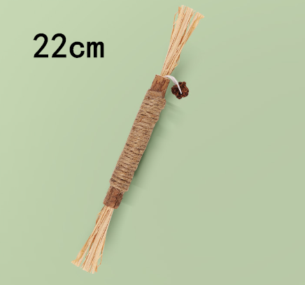 Polygonum molar stick large