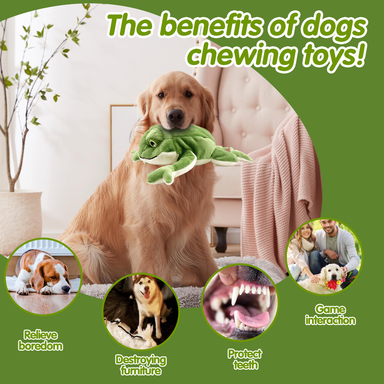 ألعاب محشوة مقاومة للعض مع صوت - كلب جولدن ريتريفر Teddy السحري الجديد