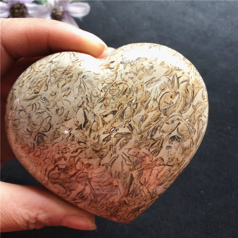 Dinosaur bone fossil love ornament