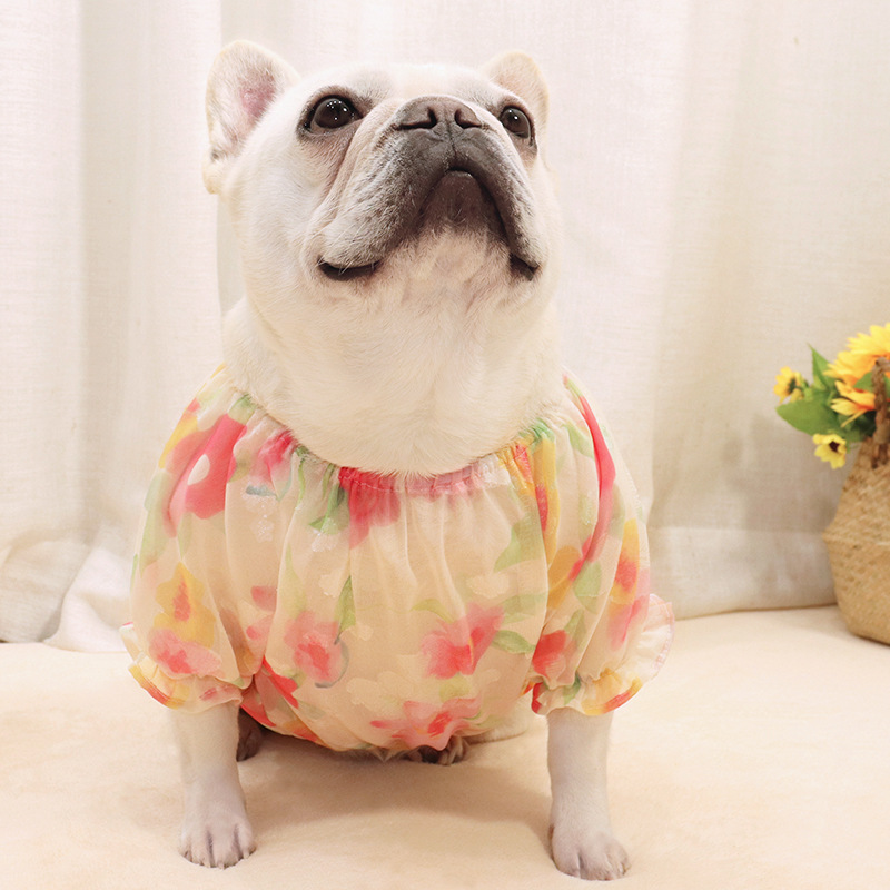 Chiffon Summer Short Body Bulldog Dog Clothing