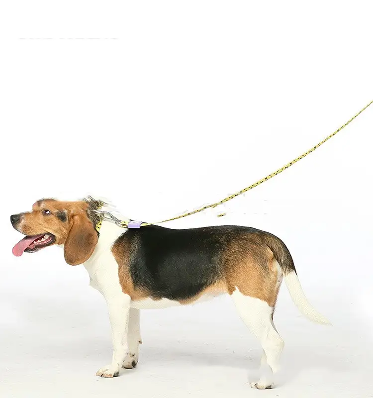 Pet Cat And Dog Burst Traction Rope Webbing