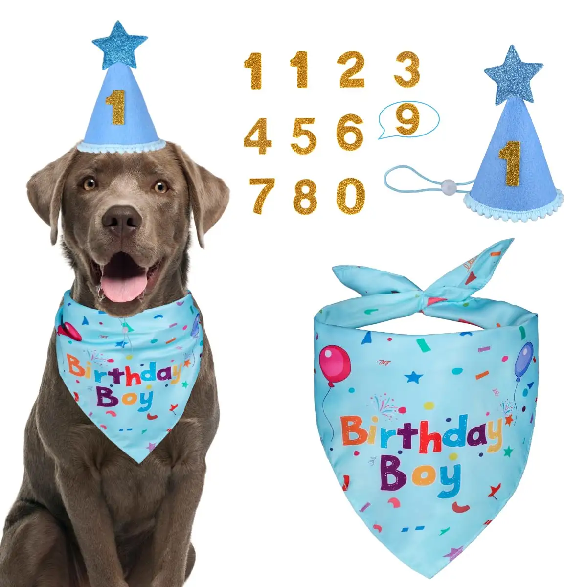Dog Birthday Party Supplies, Bandana, Hat Decorations