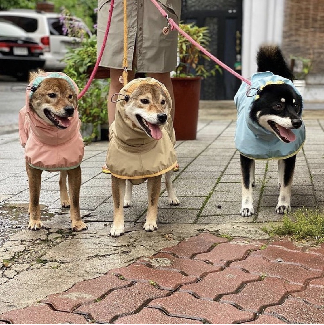 เสื้อกันฝนสุนัขขนาดใหญ่ ไม่กระทบความปลอดภัยในการเดิน เหมาะสำหรับสุนัขทุกสายพันธุ์