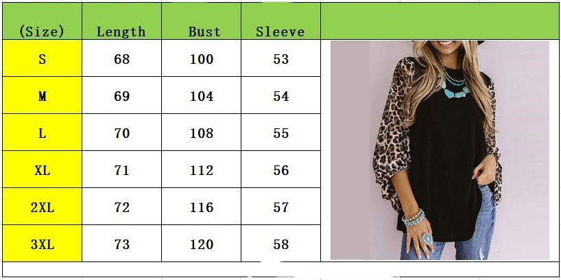 Title 1, Leopard Print Long Sleeve Round Neck T-Shirt Women