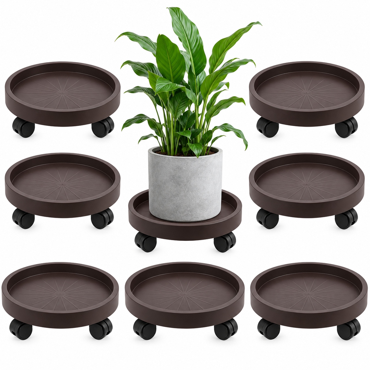 Plant Caddy with Casters, 8 Pack, picture 2 of 2