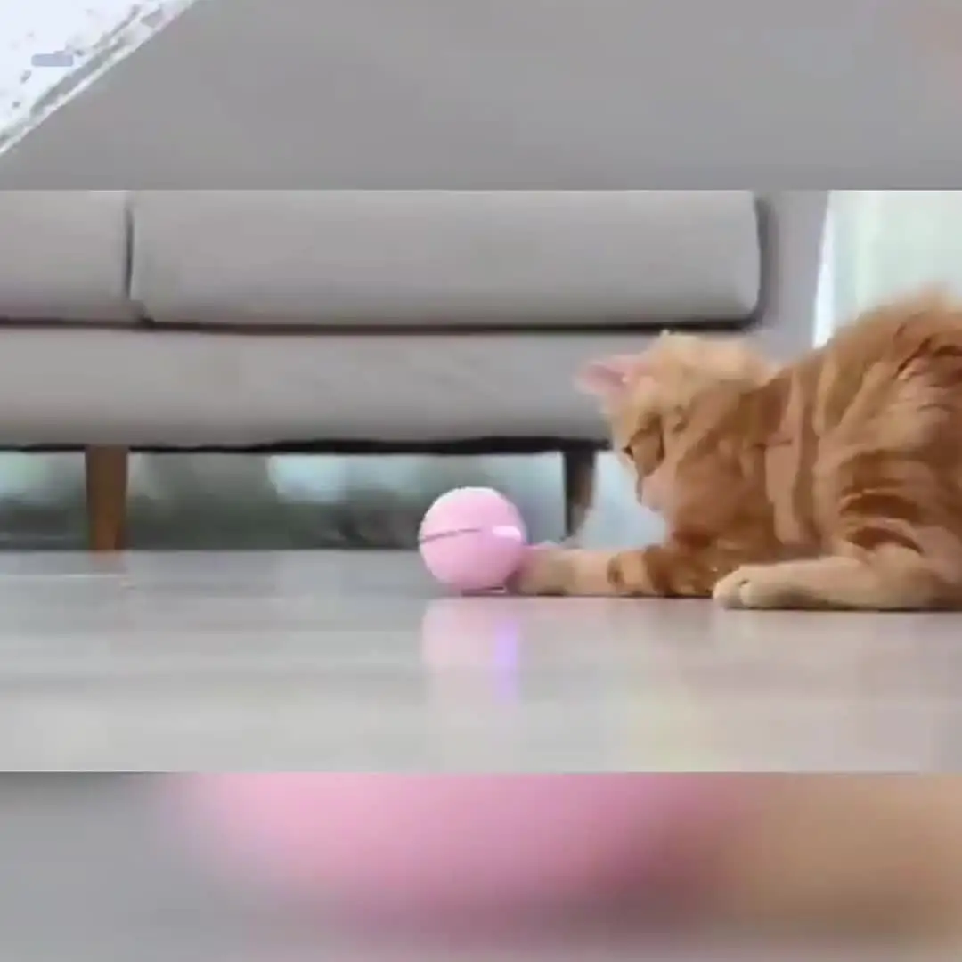 Electric Cat Toy Ball LED Feather Tease