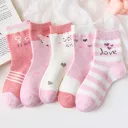 Photo Color-L-5Pcs