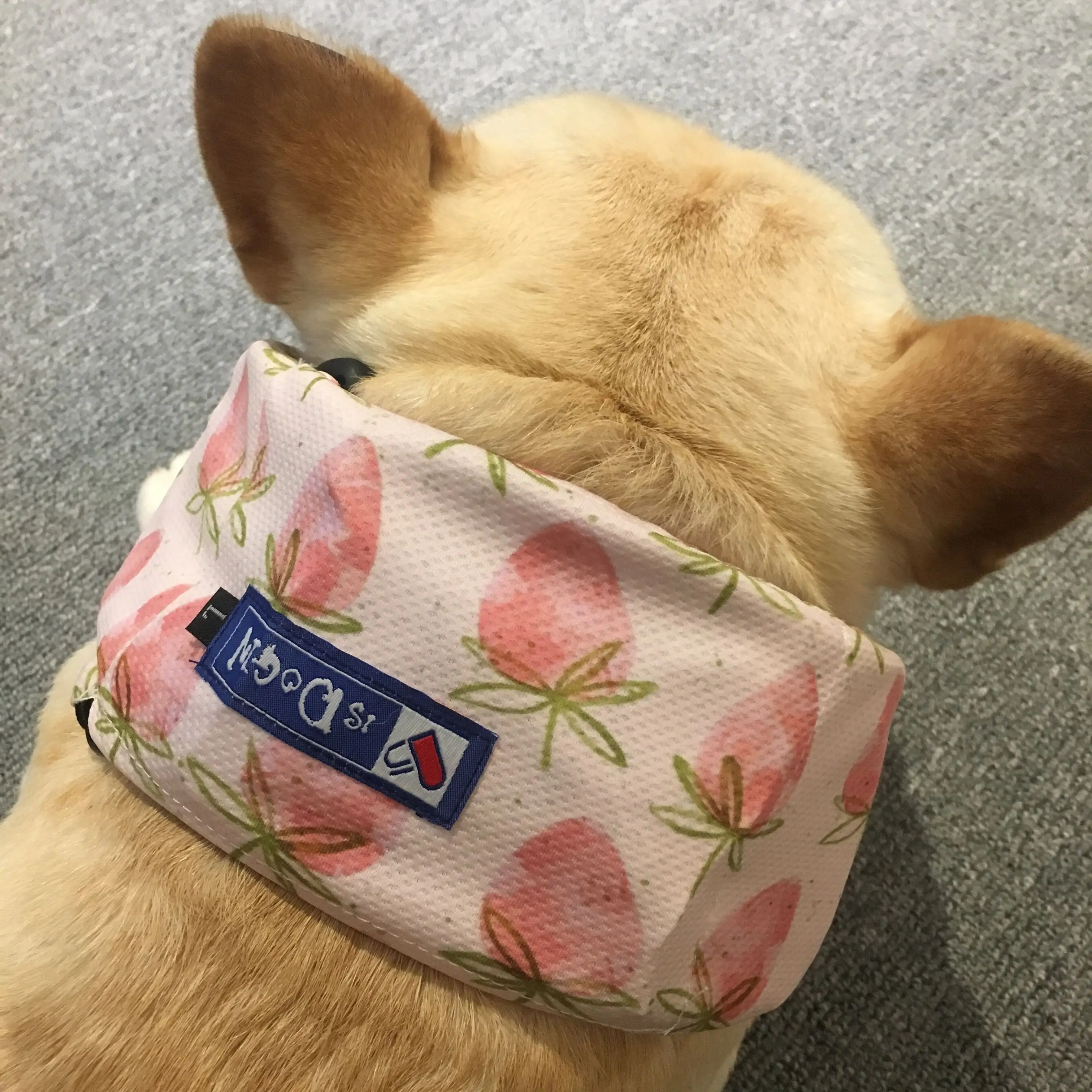 Summer Pet Dog Cool Down Ice Scarf