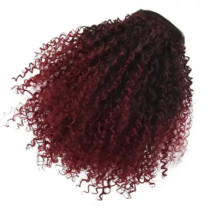 Women's African Drawstring Stretch Small Curly Wig - Style 1B Bug