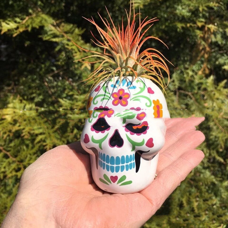 Day of the dead skeleton ornament succulents (yellow)