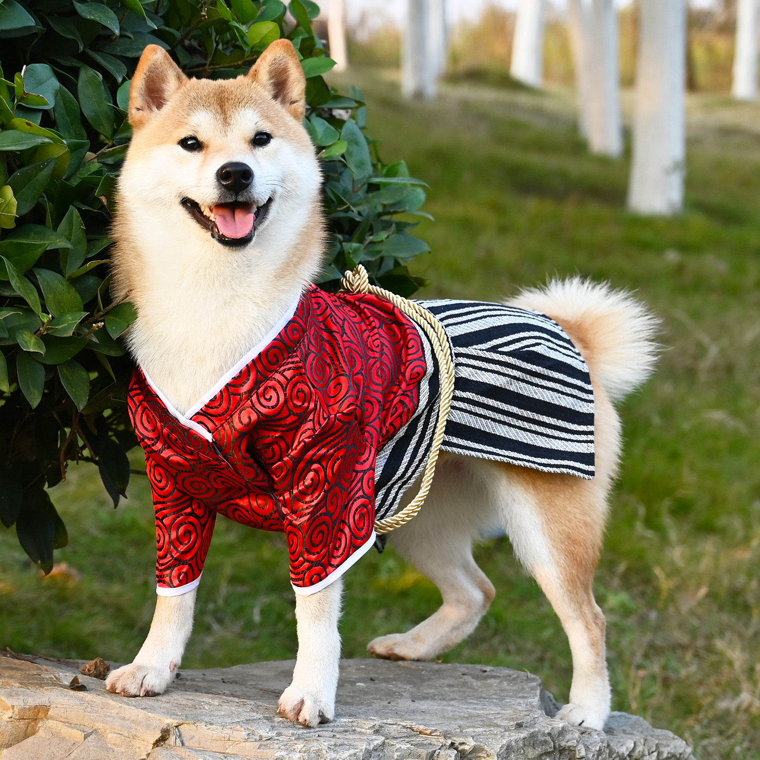 New Pet Dog Samurai Zephyr Clothes