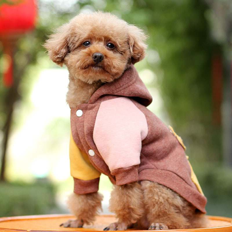 Small Dog Pet Autumn Coat Keeps Warm Coffee - Shop at LoveMi