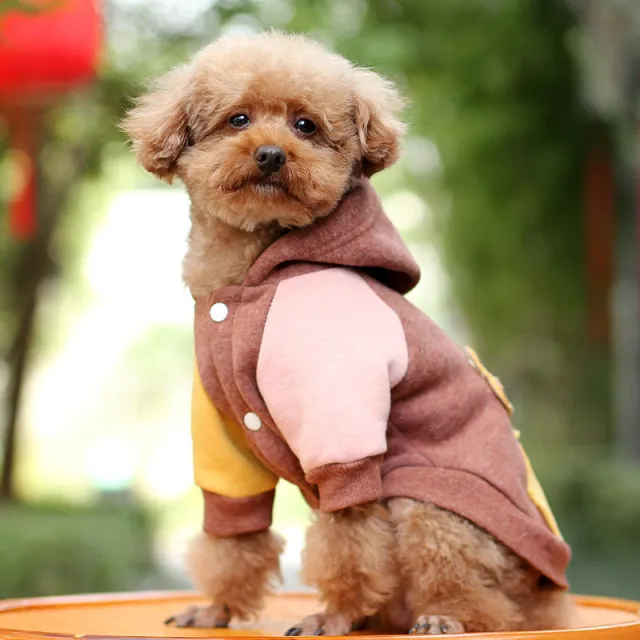Small Dog Pet Autumn Coat Keeps Warm Coffee - Shop at LoveMi