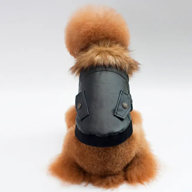 New Style Warm Pet Fur Collar Coat Black - Shop at LoveMi