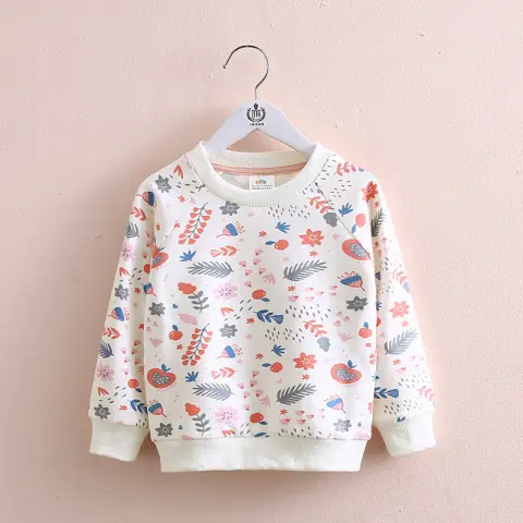 Full Sleeves Fall Sweatshirt