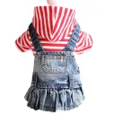 Red Striped Solid Denim Skirt