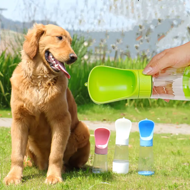 The Dog Travels with a Water Cup to Drink