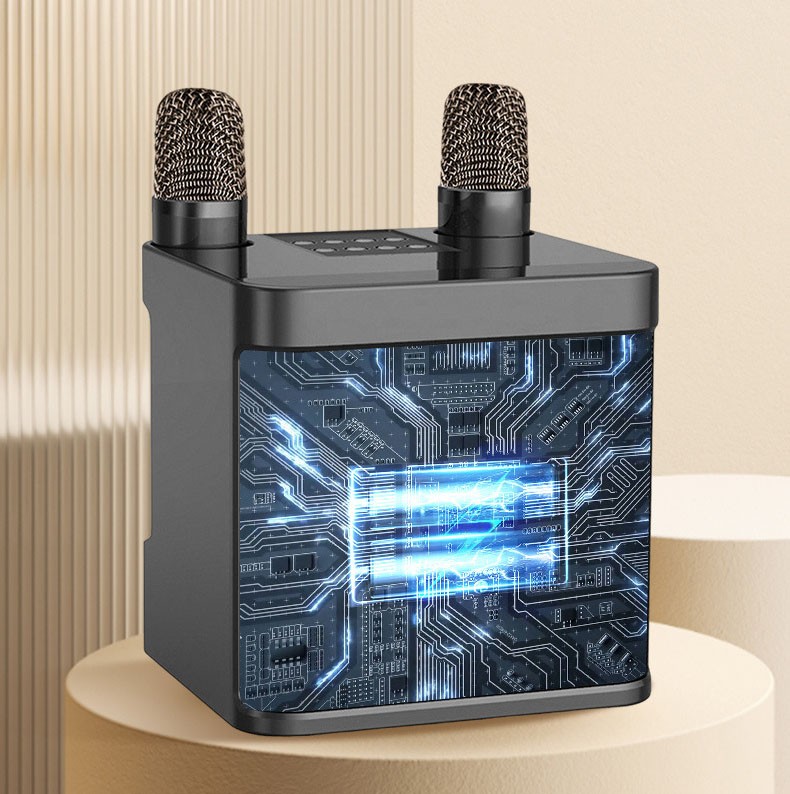 Karaoke Machine Portable Bluetooth Karaoke Speaker With 2 Wireless Microphones 14