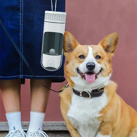 Portable Accompanying Cup for Dogs When Going Out