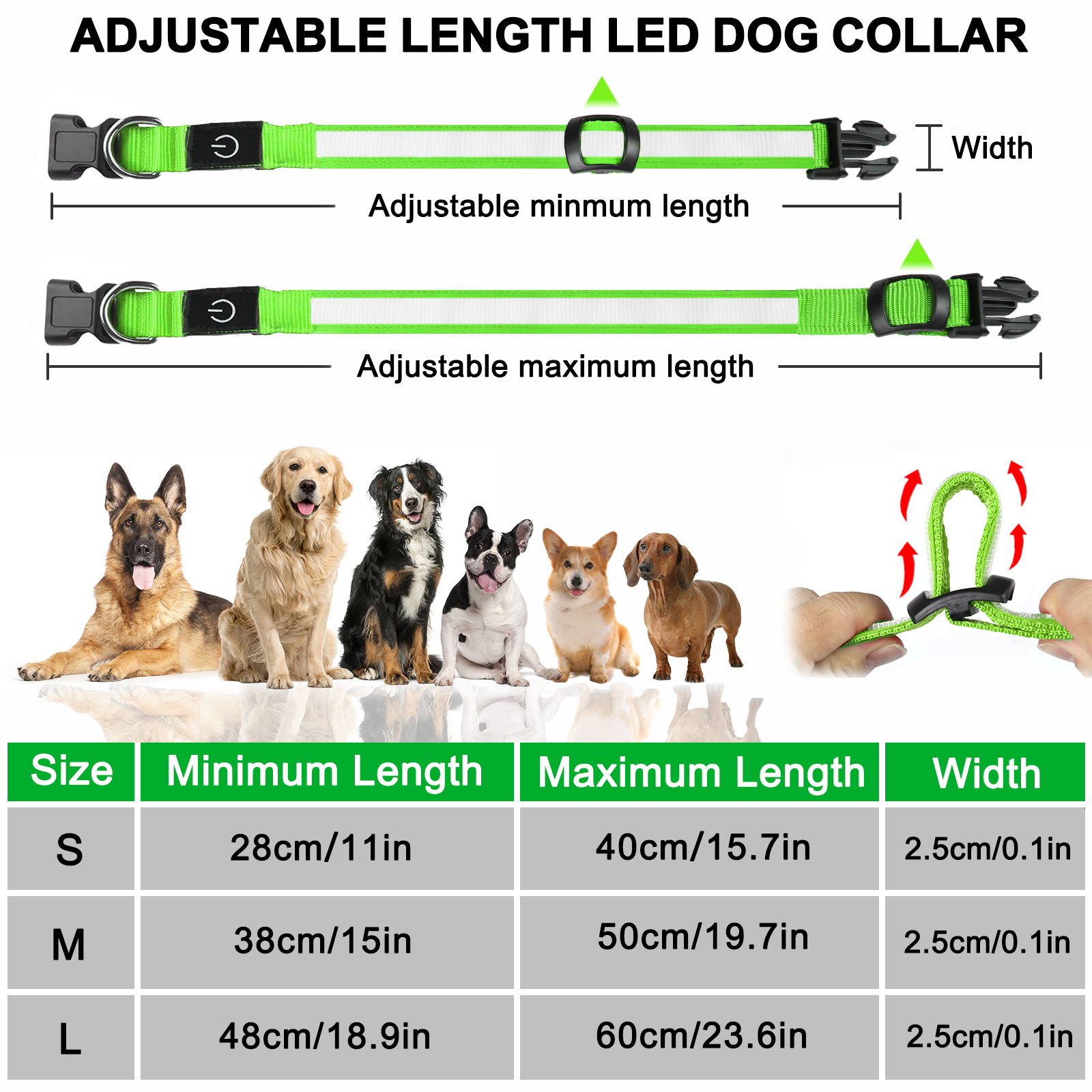 Light Up Dog Collar - Lights For The Dark Night, Adjustable Flashing — image 9