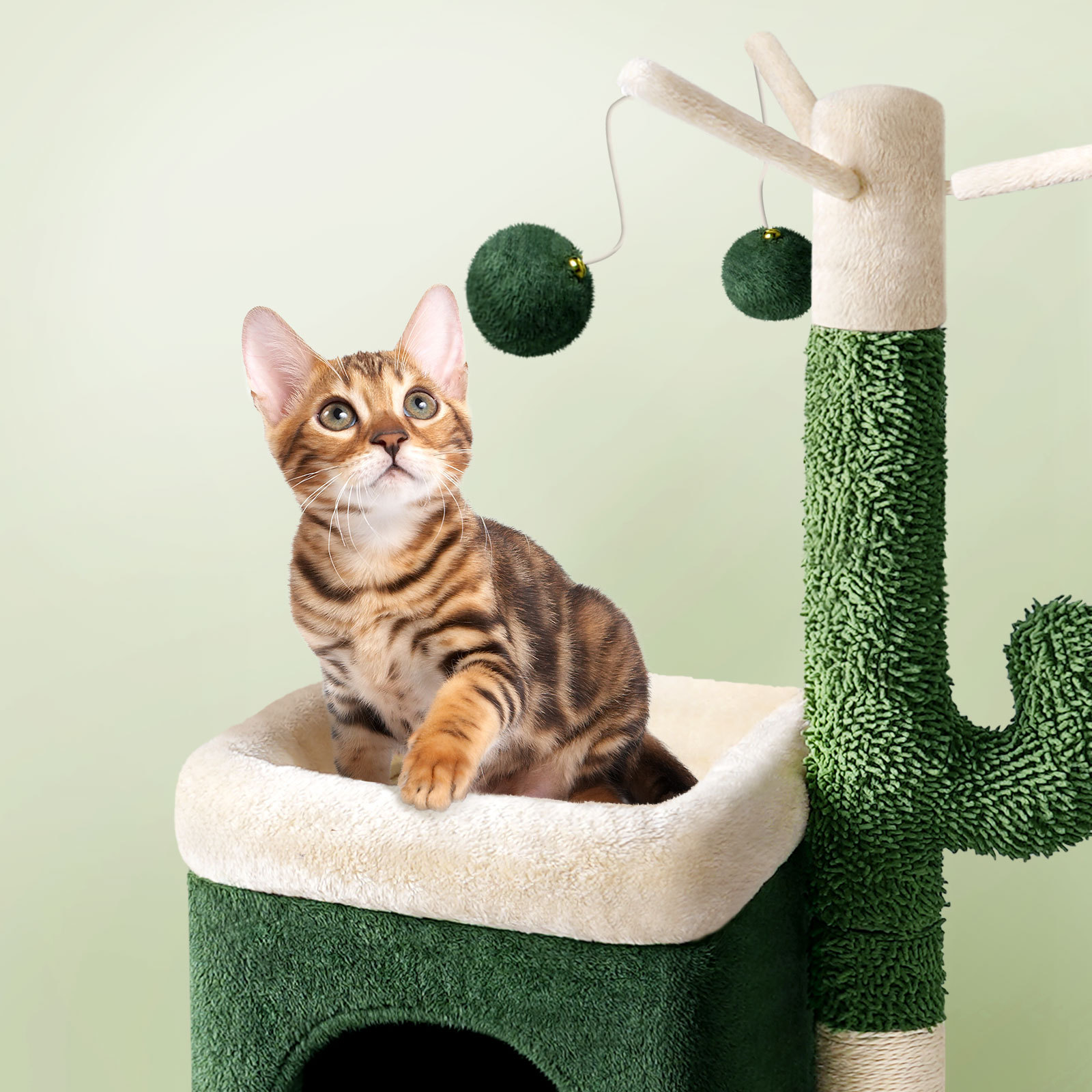 Title 1, Cactus Cat Climbing Frame Toy Sisal Column