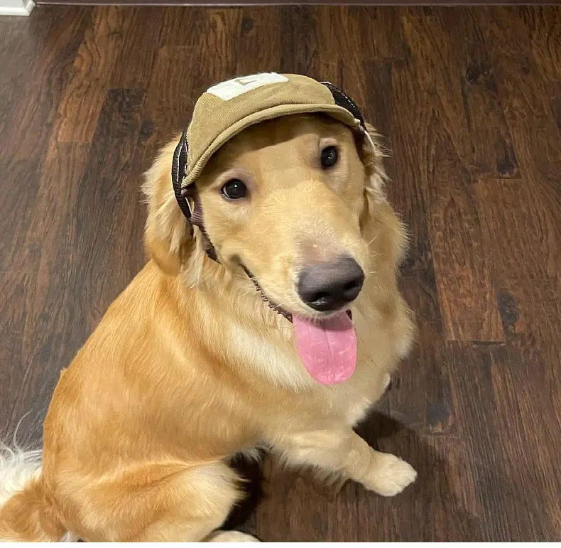Pet Hat Sports Sunscreen Dog Breathable