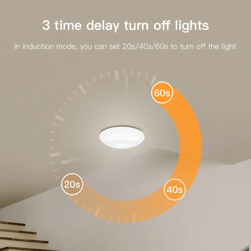 Human Induction Ceiling Lamp Infrared Garage Cloakroom