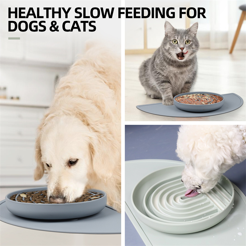 pet-slow-food-bowl