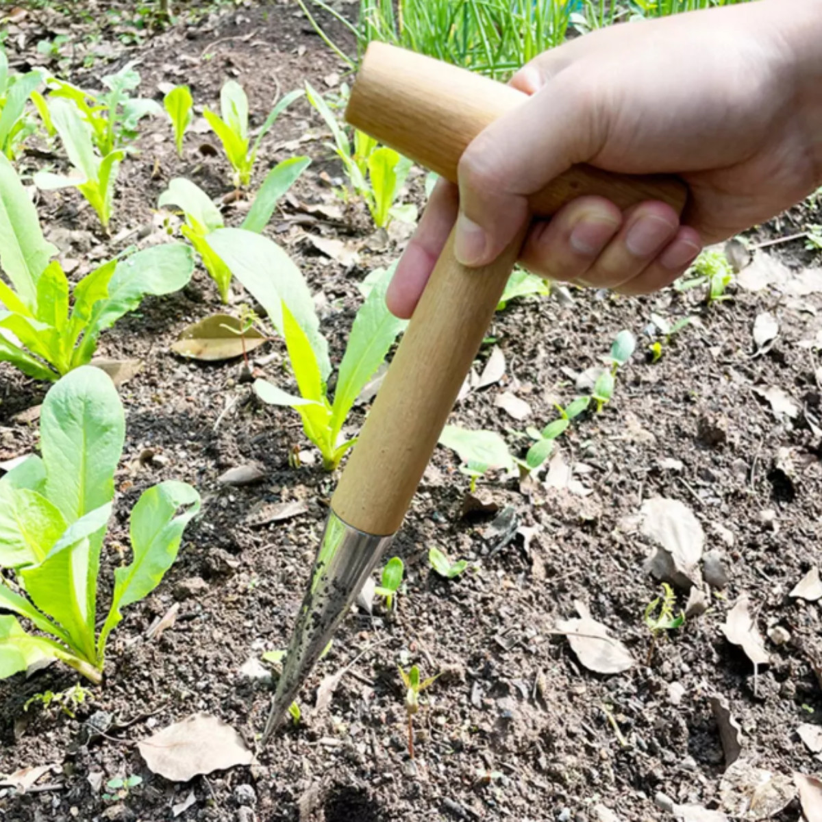 Stainless Steel Dibbler Bulb Planter Dibber Hole Puncher Gardening Tool UK — image 9
