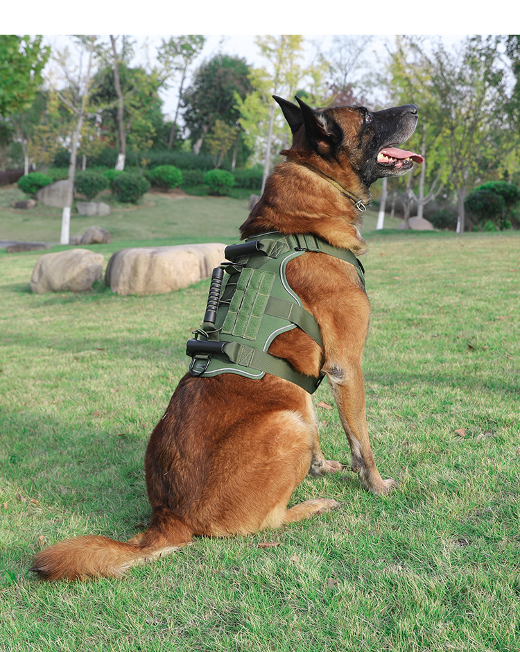 Padded tactical dog harness for large dogs, breathable and adjustable for maximum comfort outdoors.