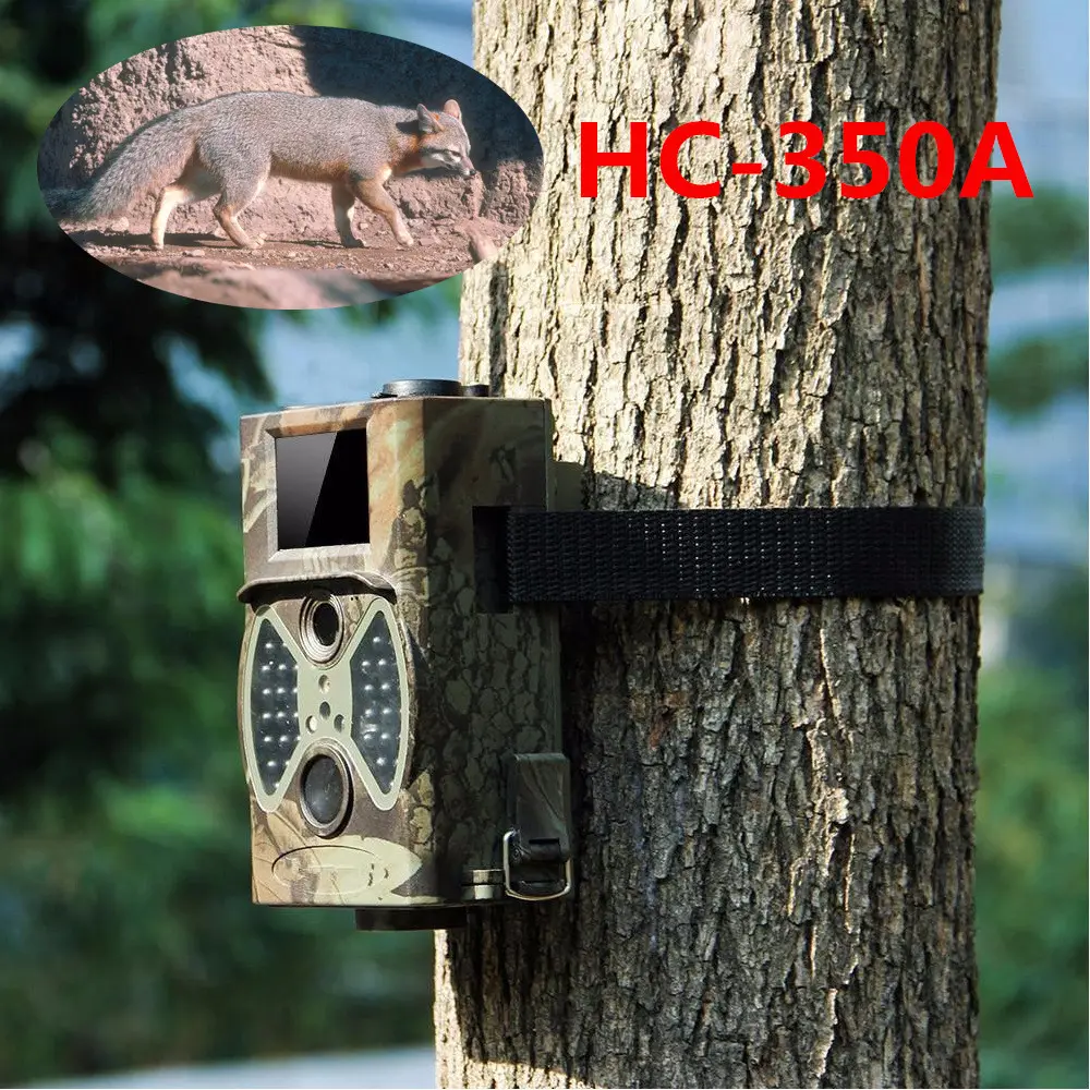 Indoor and Outdoor Security Surveillance Cameras
