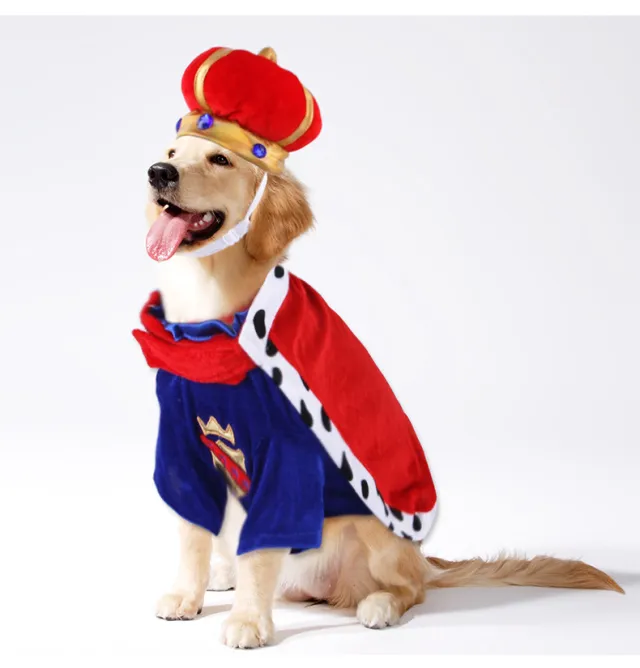 Pet King Cape Accessory Set Dog Blue - Shop at LoveMi