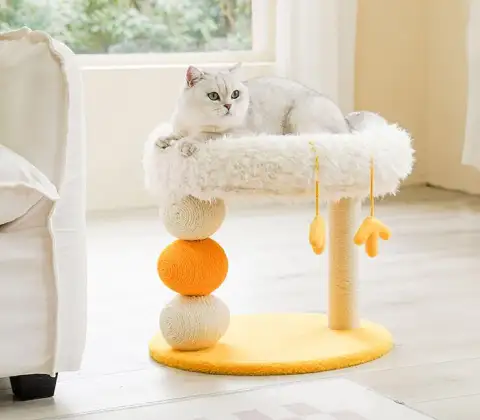 Multifunctional Jumping Platform Does Not Drop Crumbs Cat Climbing