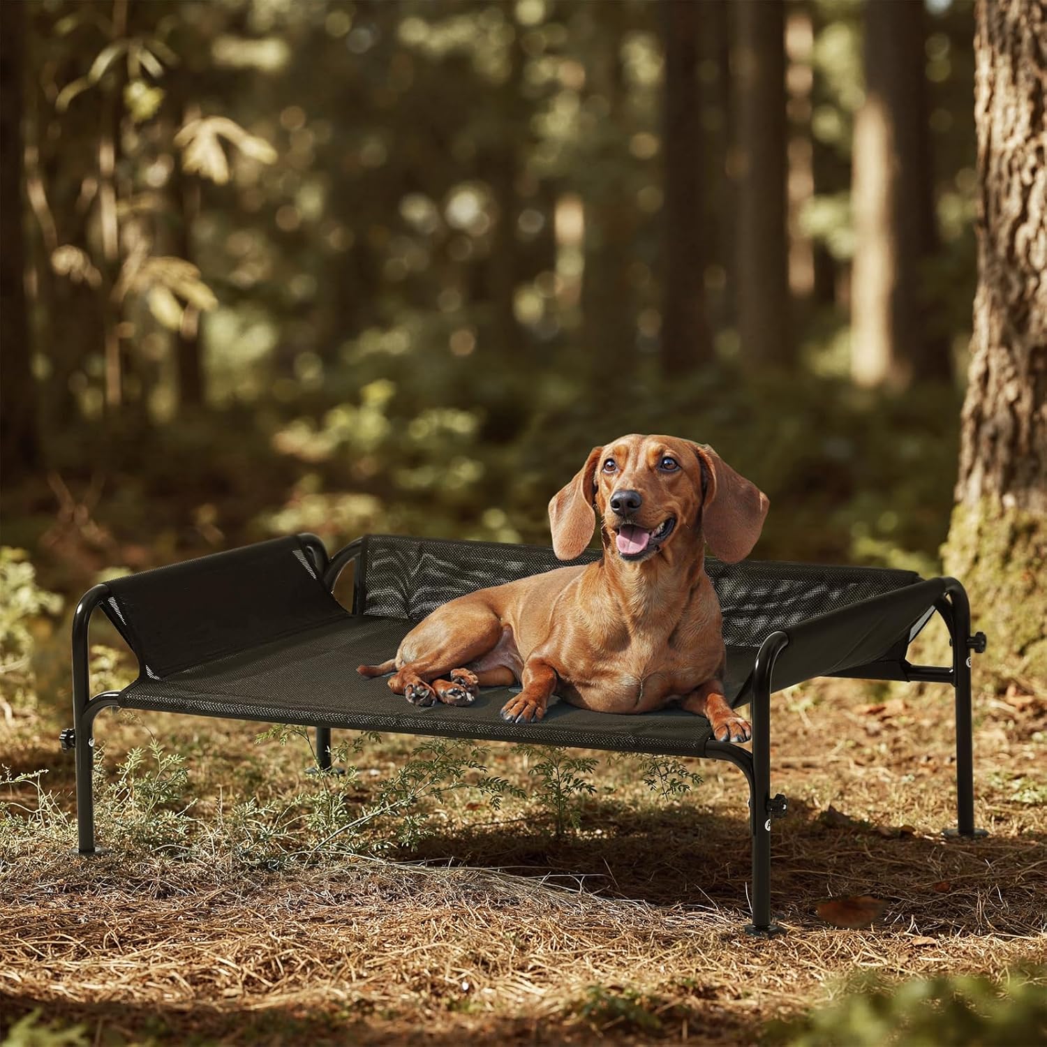 Gardner Small Dog Outdoor Waterproof Portable Breathable Mesh Pet Bed With Three Sided Guardrail Self pickup Orders Support FedEx, Ship, And UPS Lo... Blackm - Shop at LoveMi