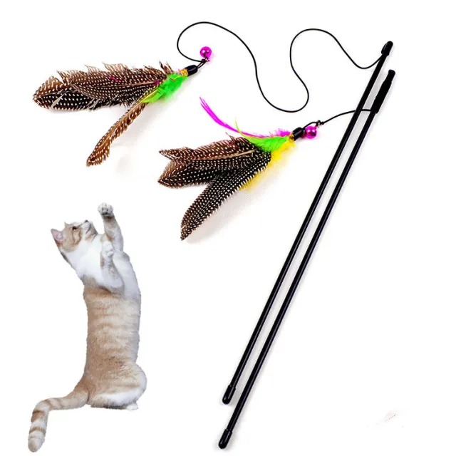 Pearl Bird Cat Teaser Feather Pet Toy Bell Cat Playing Rod Black - Shop at LoveMi