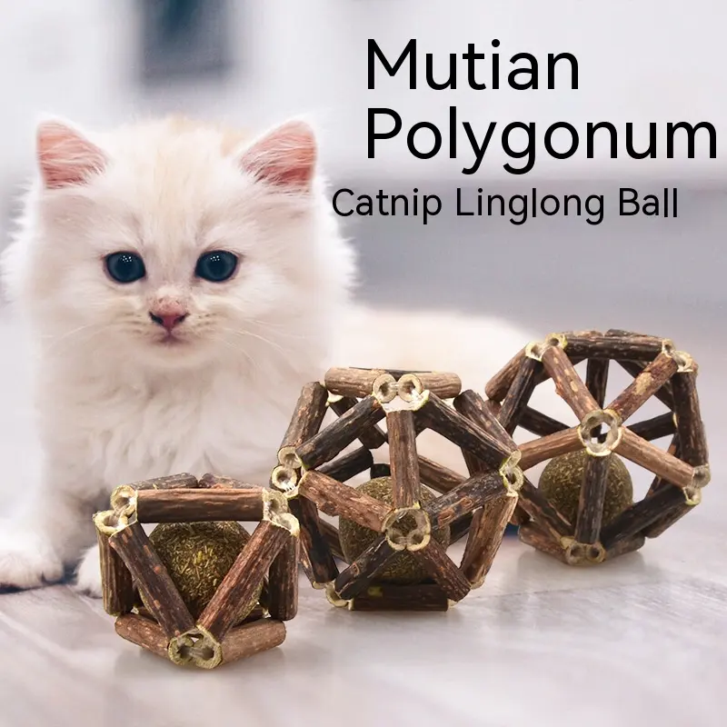 Polygonum Multiflorum Diet Balls Cat Toy Scratching